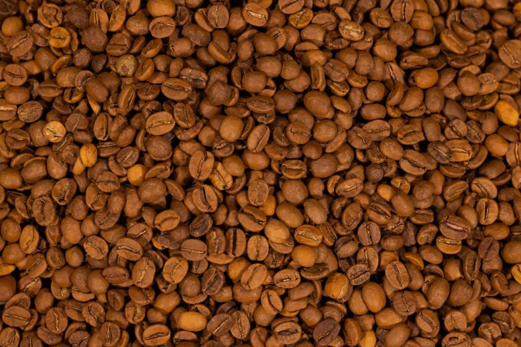 Manfaat Kopi Luwak Asli